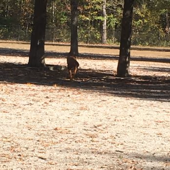Grist Mill Dog Park photo 1